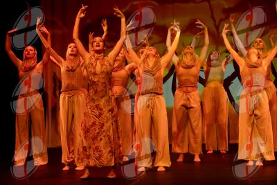 SHOW_00880.jpg